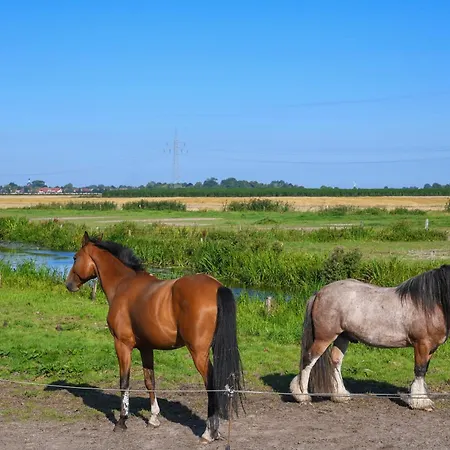 Historisches Backhaus 別荘 *