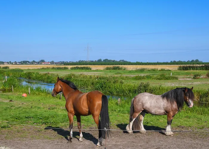 Historisches Backhaus Σπίτι διακοπών *