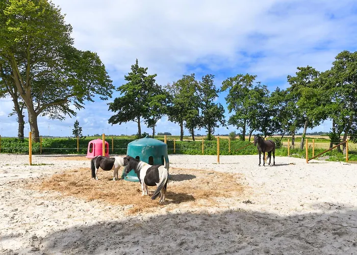 Historisches Backhaus Σπίτι διακοπών Werdum